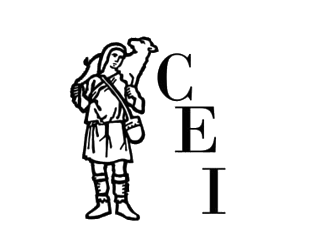 ICUFinanziatori_Logo-CEI1