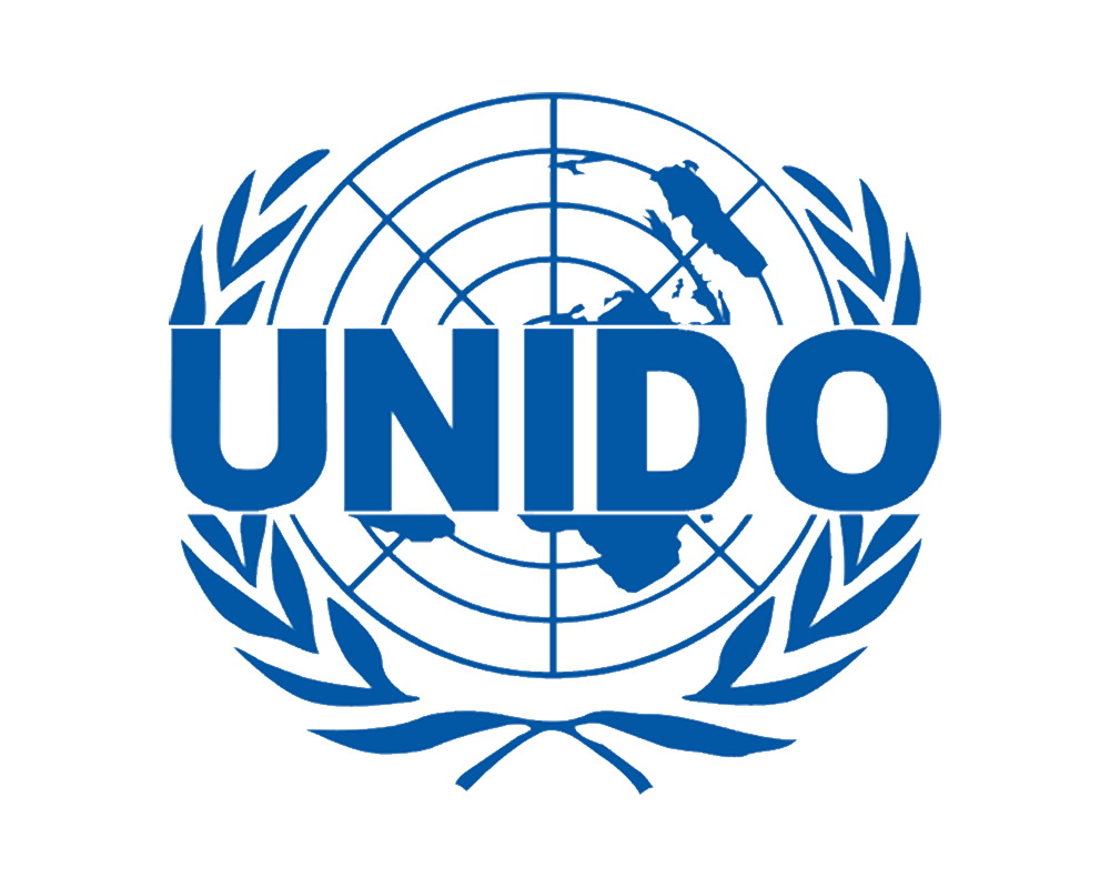 ЮНИДО бизнес план. Система ЮНИДО. Unido бизнес план. Стандарт ЮНИДО бизнес плана.