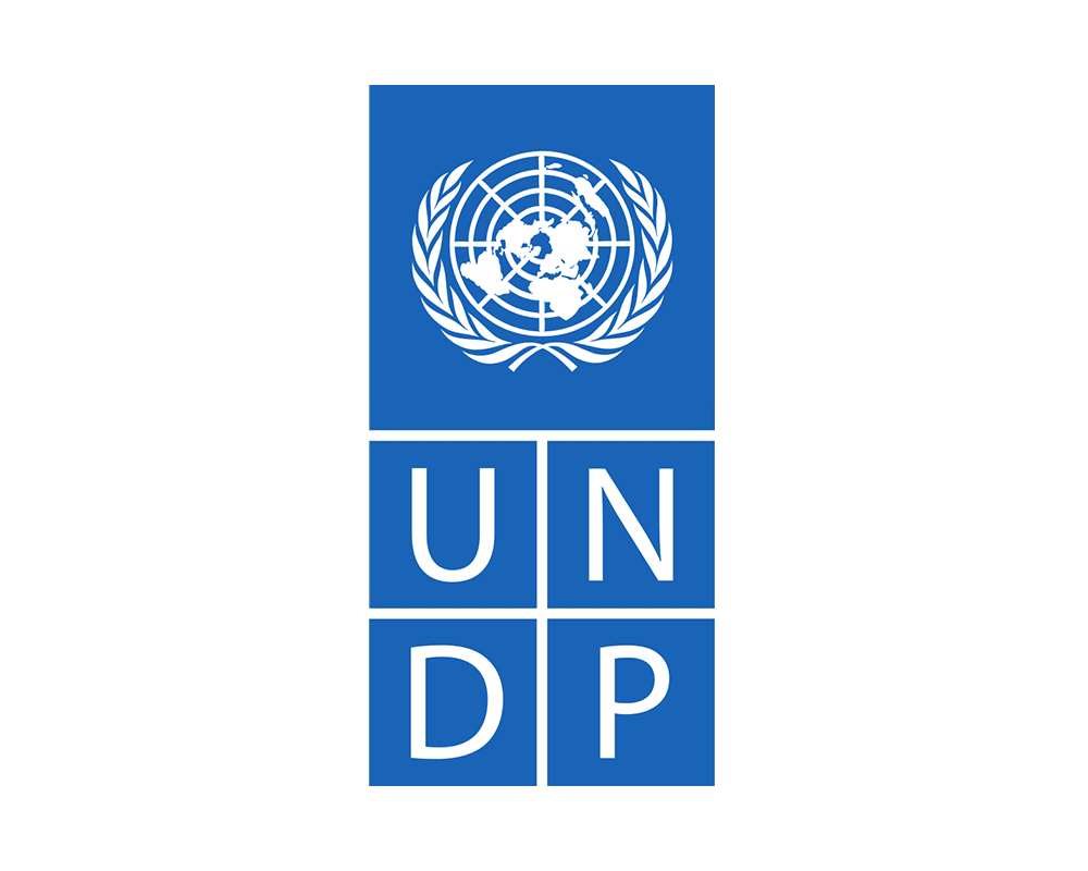 ICUFinanziatori_undp